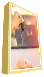 Flossmoor Lock And Locksmith, Flossmoor, IL 708-290-9009 - sb-aut-01